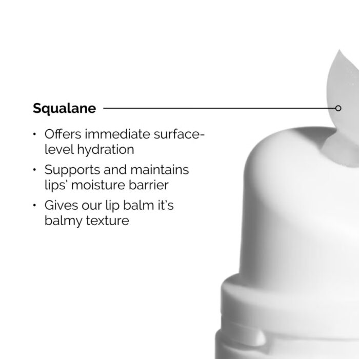 The Ordinary Squalane Lip Balm