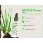 Dr. Rashel Aloe Vera Collagen Serum