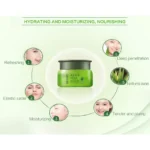 Dr. Rashel Aloe Vera Moisture Cream